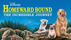 Phim Homeward Bound: The Incredible Journey - Homeward Bound: The Incredible Journey (1993)