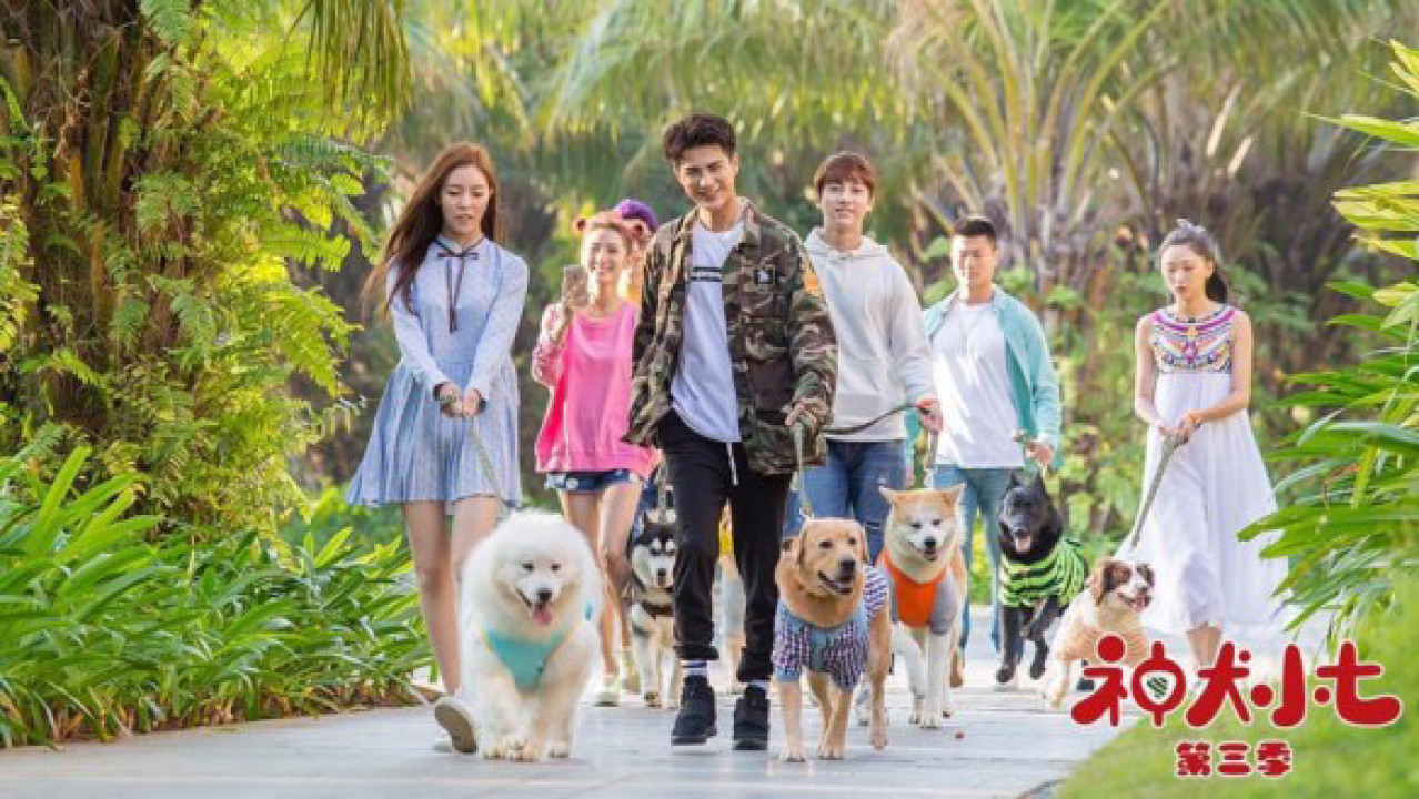 Phim Thần Khuyển Tiểu Thất 3 - Hero Dog (Season 3) (2019)