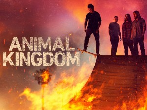 Phim Vương quốc động vật (Phần 6) - Animal Kingdom (Season 6) (2022)